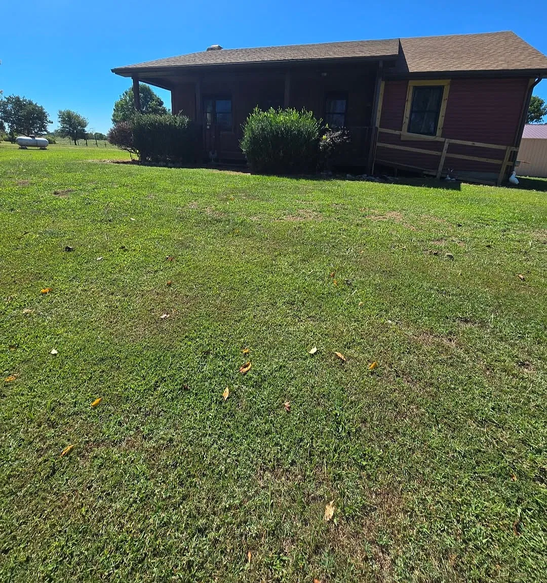 3 bed, 1400 sqft, $900 — Photo 2