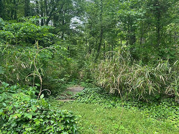 4th image of 1036 Park Forest Trl NW