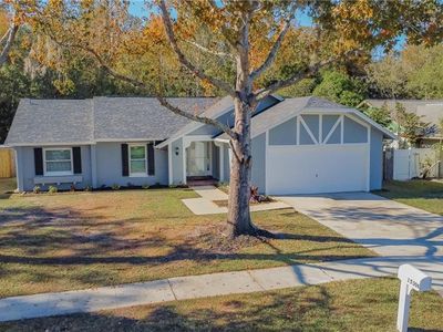 15304 Winterwind Dr, Tampa, FL, 33624