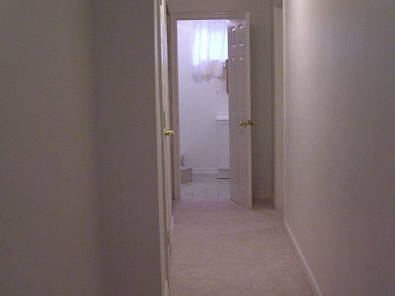 Basement Hallway, Laudry , Bathroom, 2 Dens -Carpet
