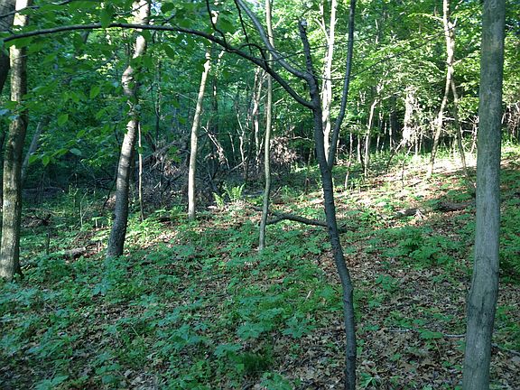 3rd image of Lot # 1 Reindeer Ln