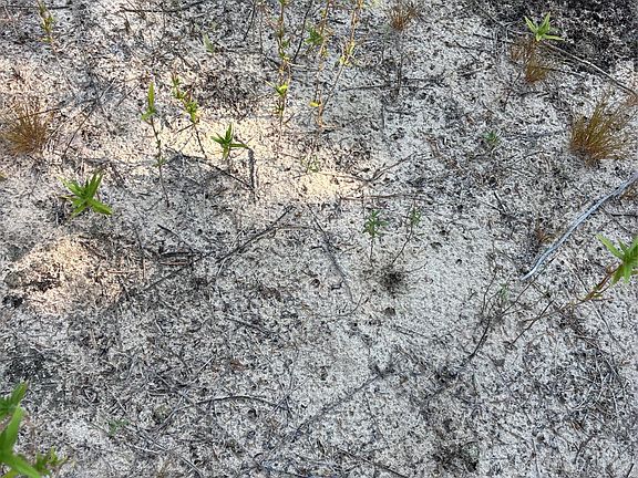 5th image of 667 Paint Creek South Rd
