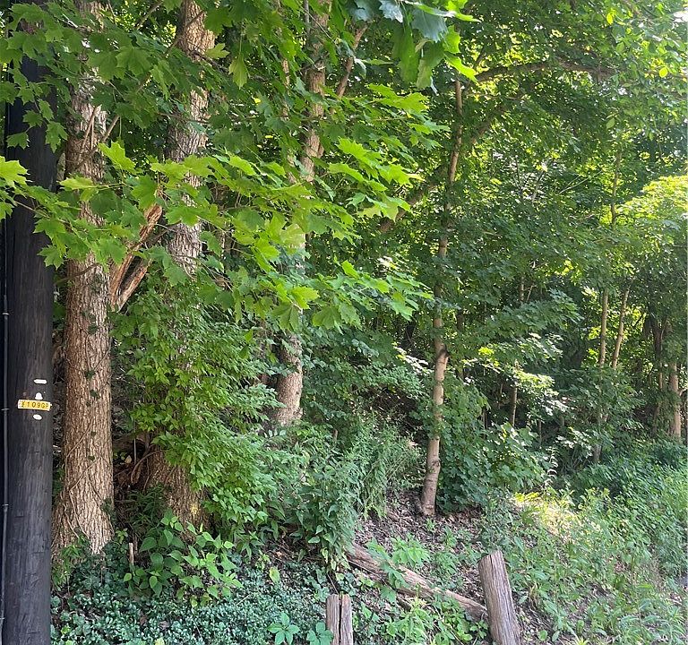 1st image of 0 Thoms Run Rd