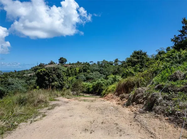 (undisclosed Address), Humacao, PR 00791