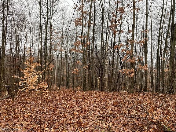 4th image of Waynesburg Dr SE
