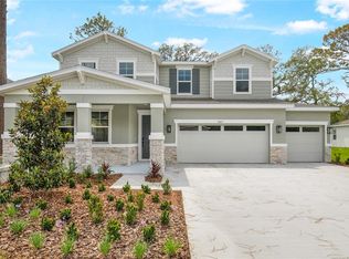 1067 Cloud Ridge Ct, Mount Dora, FL 32757