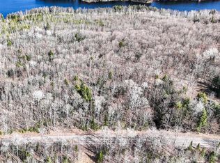 On Chaney Lake Rd, Bessemer, MI 49911