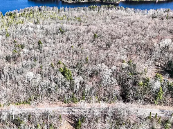 On Chaney Lake Rd, Bessemer, MI 49911