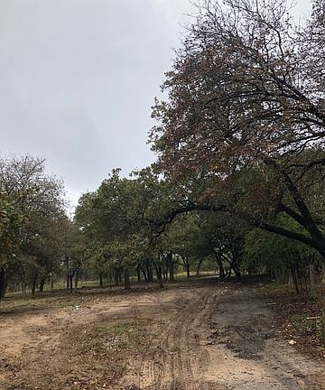 2nd image of 230 Shady Oaks Dr