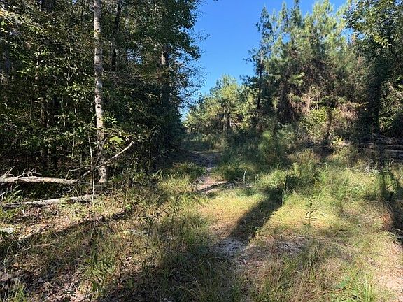 3rd image of 0 Woods Rd