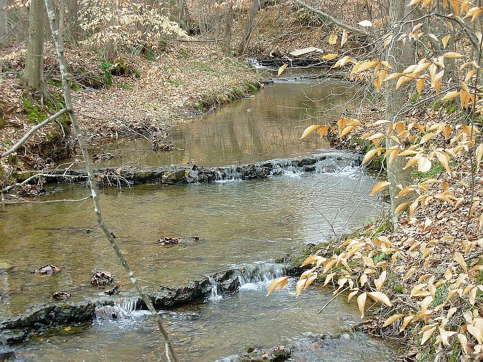 Beautiful Creek on property 