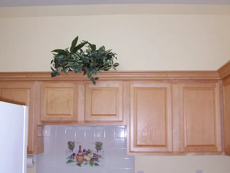 4507 Furling Ln #301 — Photo 11