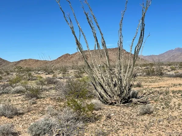 LOT 16 S Douglas Ln, Yucca, AZ 86438