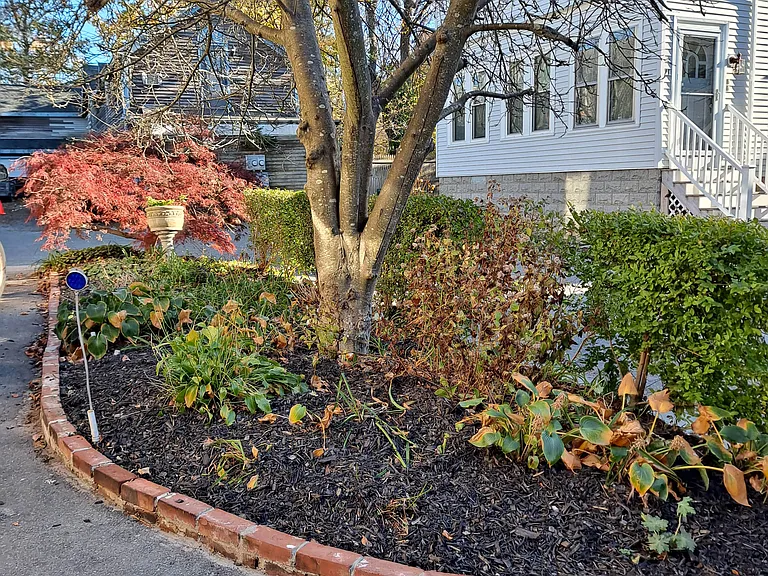 26 1/2 Calvert St — Photo 5