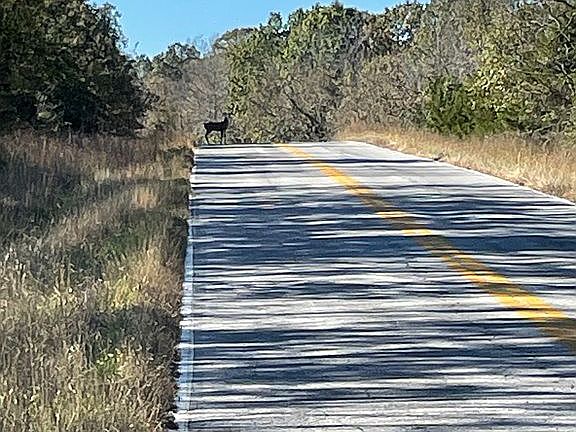 4th image of 6842 State Highway 142