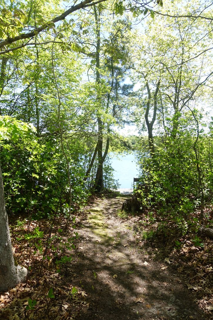  Big fresh pond