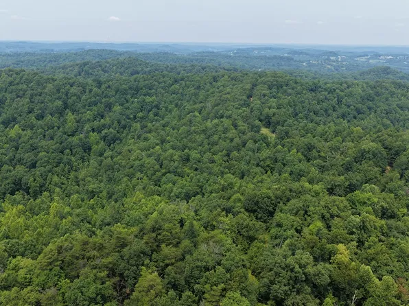 0 Pickle Bean Ridge Rd, Evans, WV 25241