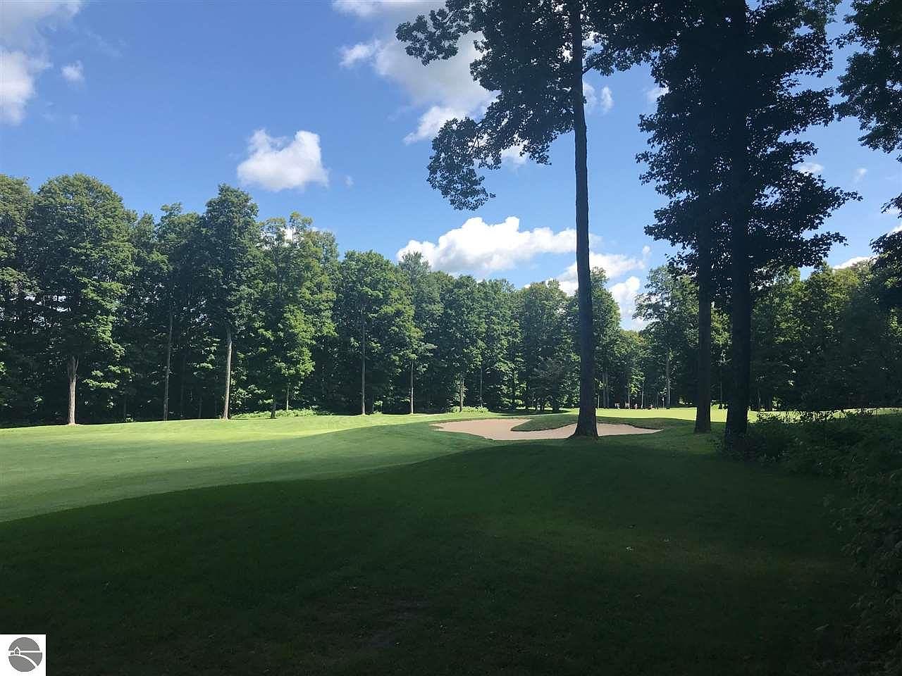 75 Troon N, Bellaire, MI 49615 Zillow