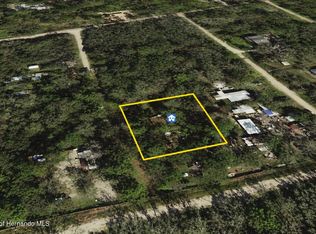 13023 Canella St, New Pt Richey, FL 34654