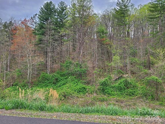 4th image of 111 Blackberry Cove Dr #12