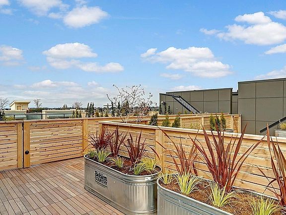 Shared Rooftop Deck