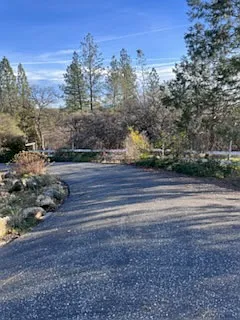 15417 Wolf Mountain Road - 1 — Photo 4