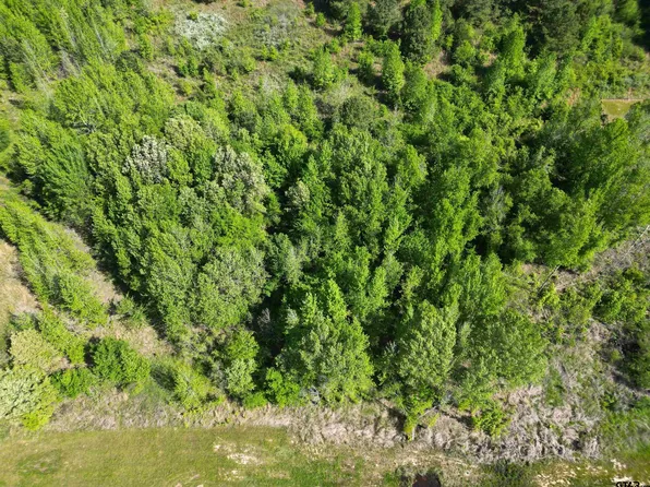 LOT 9 Prosperity Dr, Pittsburg, TX 75686