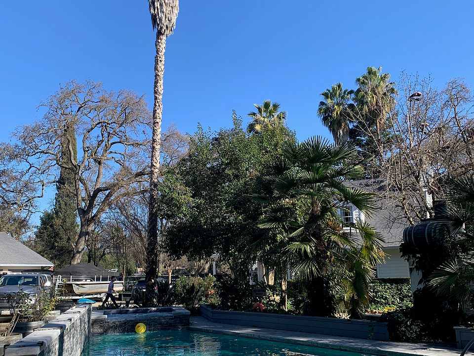 Backyard and Swimming Pool