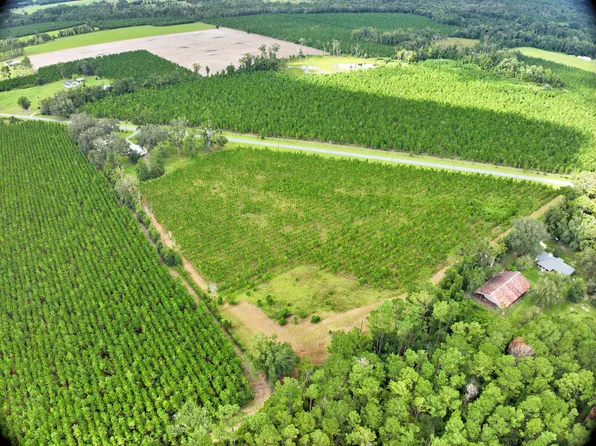 NE Not Named, Wellborn, FL 32060