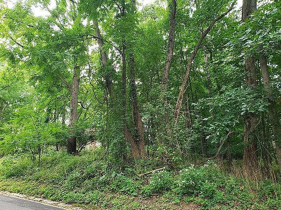 2nd image of 3 Pine Needles Dr