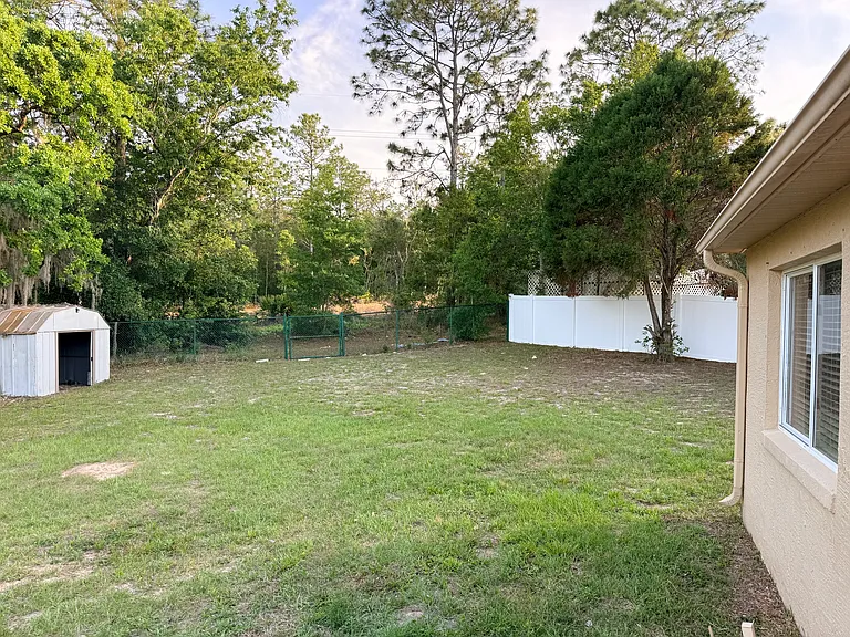 Backyard
