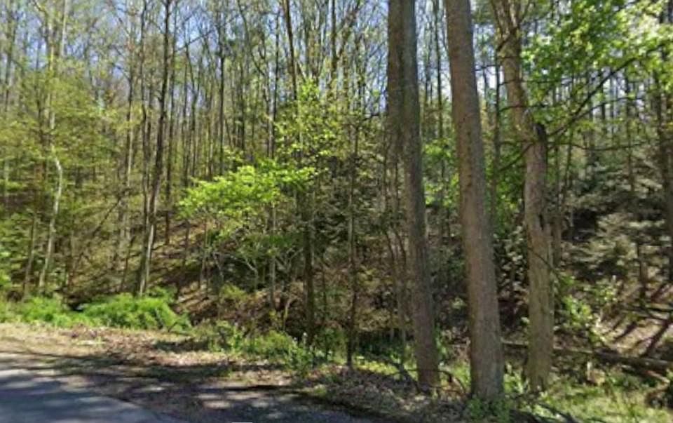 1st image of 0 Tallman Hollow Rd