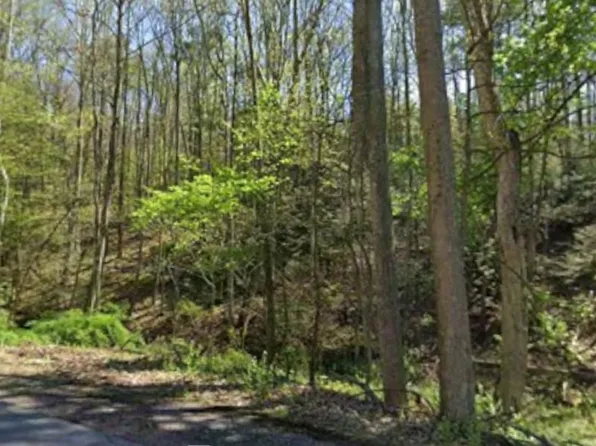 0 Tallman Hollow Rd, Montoursville, PA 17754