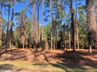 224 Palm Way #30, Georgetown, FL 32139