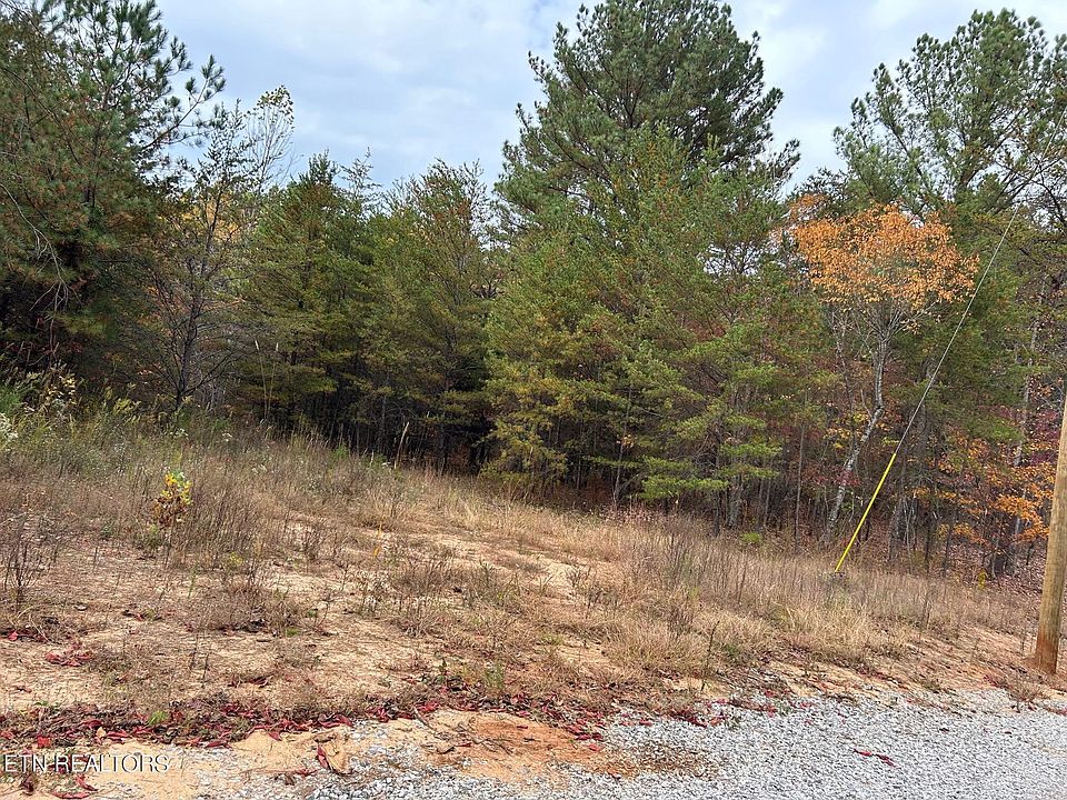 2nd image of 359 Cody Ln