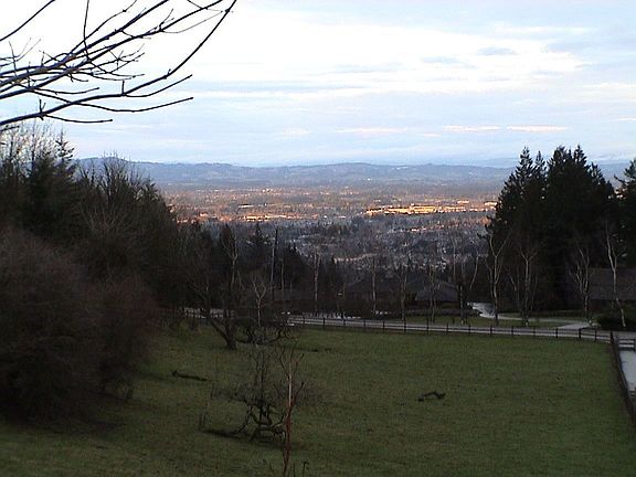 View from living area