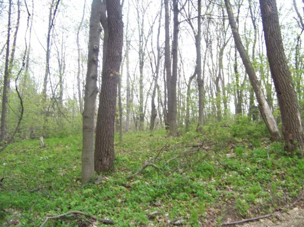 5742 Ontario St, Coloma, MI 49038