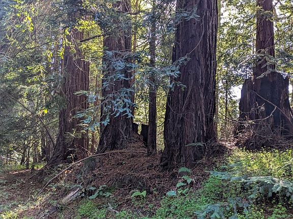 3rd image of 8055 Glen Haven Rd