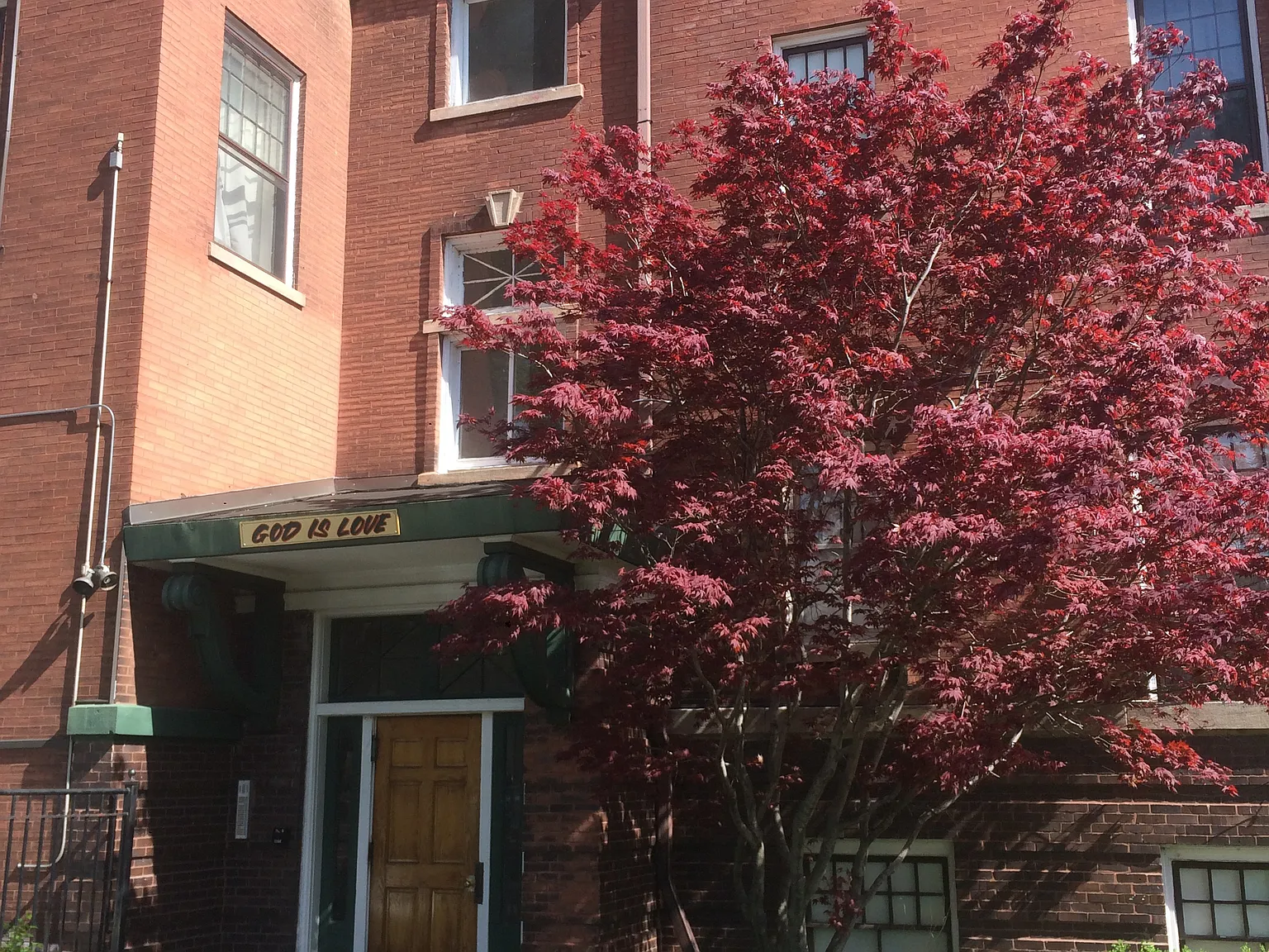 1 bed, 650 sqft, $1,150 — Photo 2