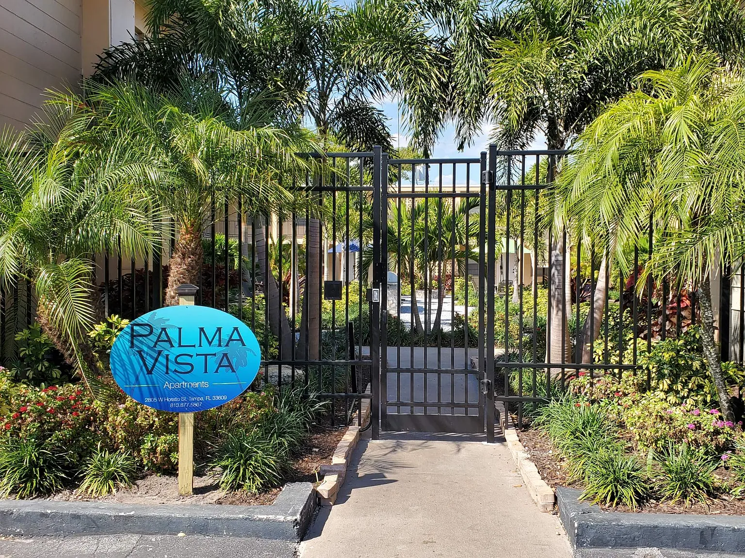 Palma Vista — Photo 2