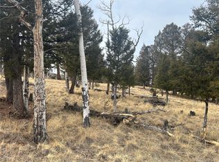 1421 Pitchfork Road LOT 1233, Hartsel, CO 80449