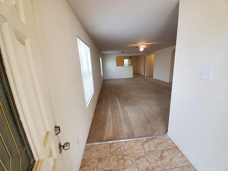 25714 Gold Yarrow — Photo 8