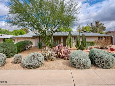 110 E Harmont Dr, Phoenix, AZ, 85020