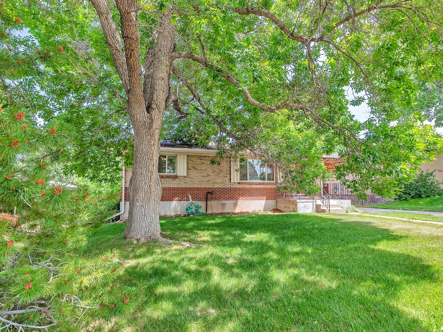 4 bed, 1776 sqft, $2,800 — Photo 4