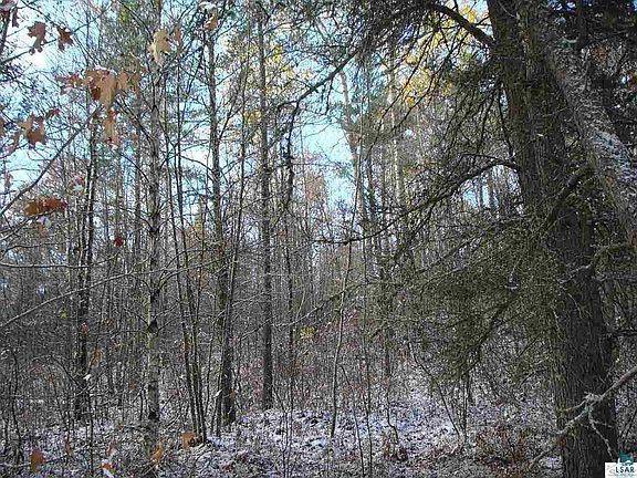 5th image of TBD Forest Rd 245