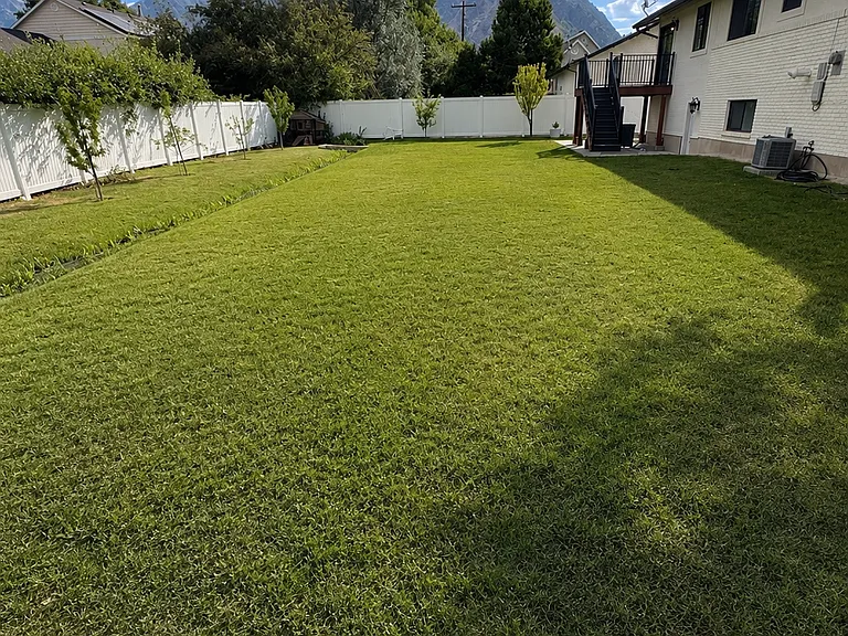 Backyard view of the mountains.
