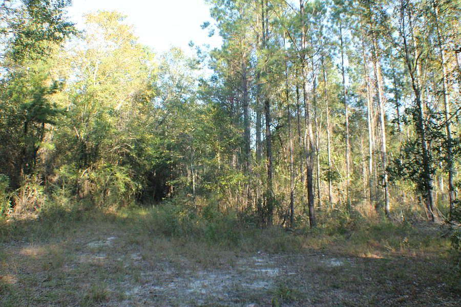 2nd image of 15 Ac Welannee Blvd