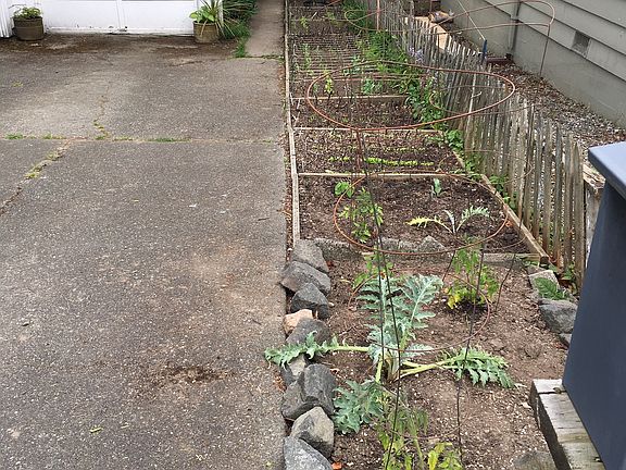 drvway to  backhouse +garden