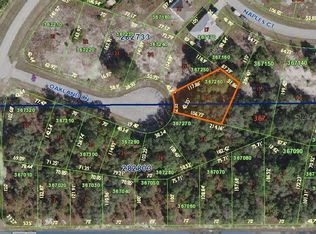 411 Oakland Ln, Poinciana, FL 34759