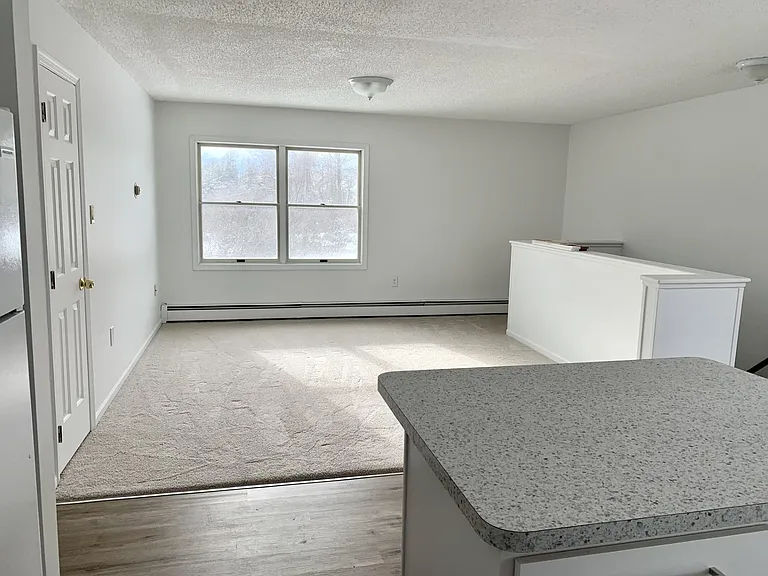 102 Vosburgh Rd #2 — Photo 8
